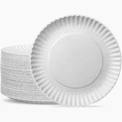 Plato de Cartón